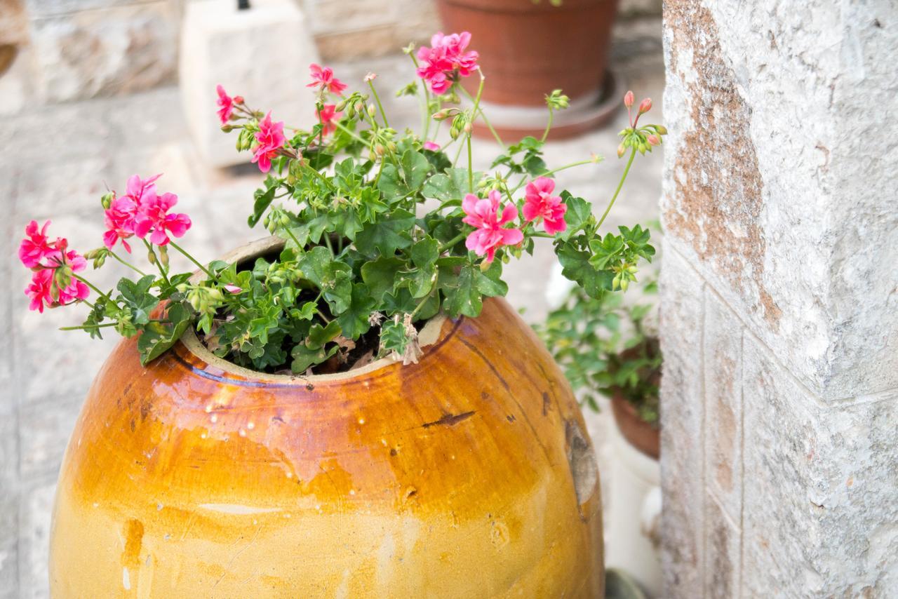 Giardino Segreto Bed and Breakfast Putignano Εξωτερικό φωτογραφία