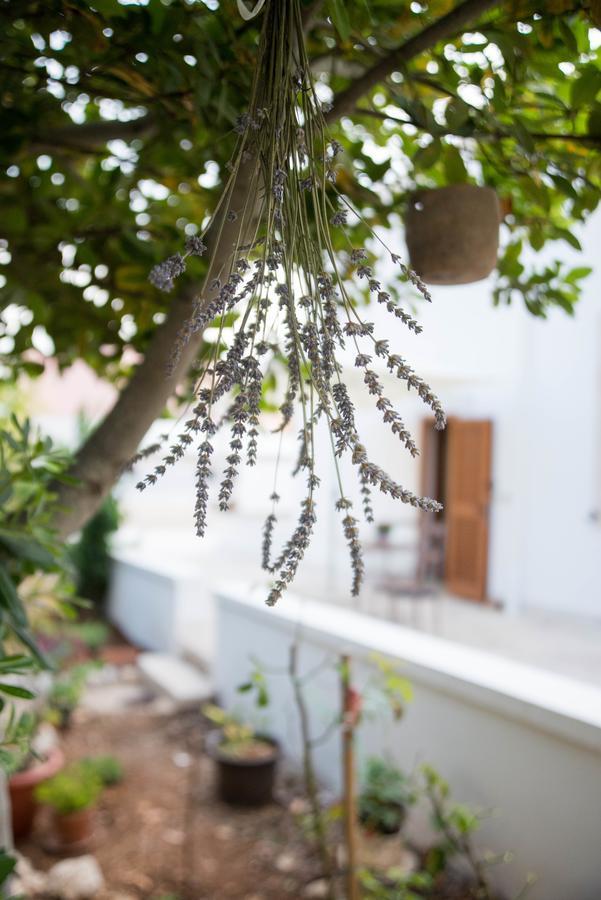 Giardino Segreto Bed and Breakfast Putignano Εξωτερικό φωτογραφία