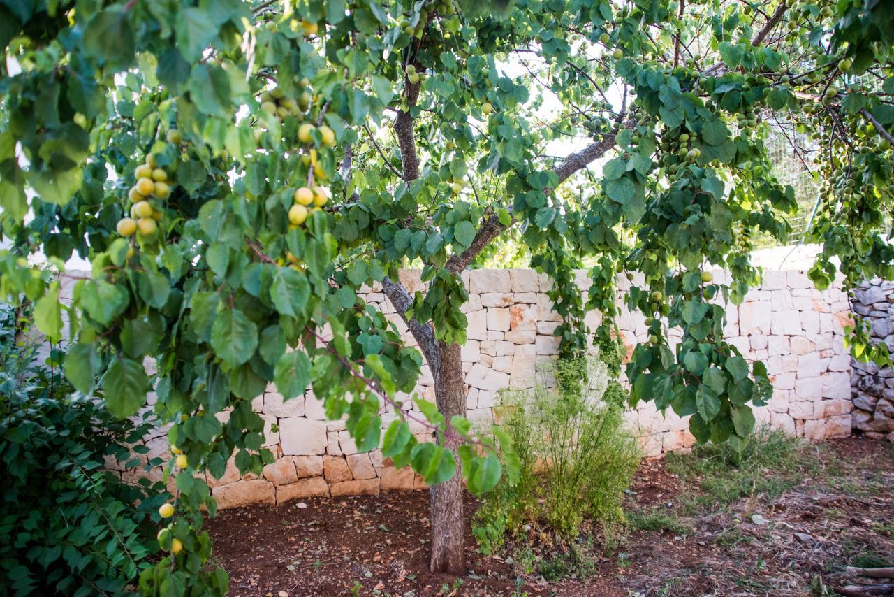 Giardino Segreto Bed and Breakfast Putignano Εξωτερικό φωτογραφία