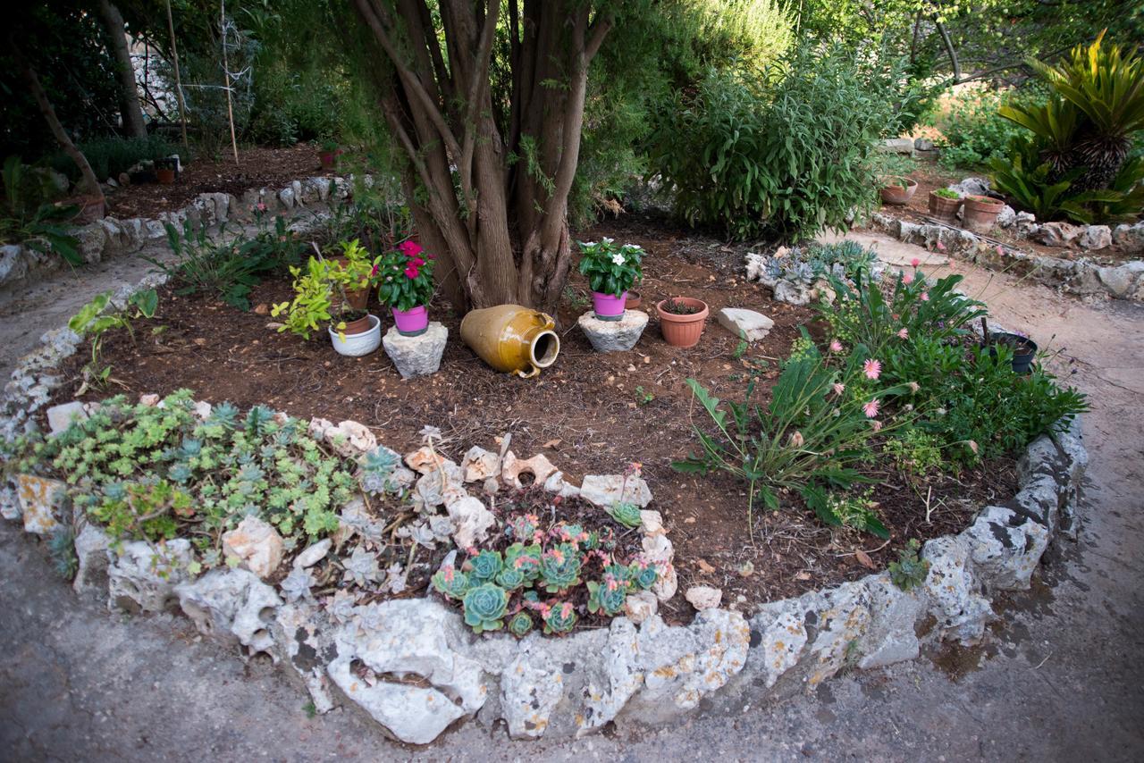 Giardino Segreto Bed and Breakfast Putignano Εξωτερικό φωτογραφία